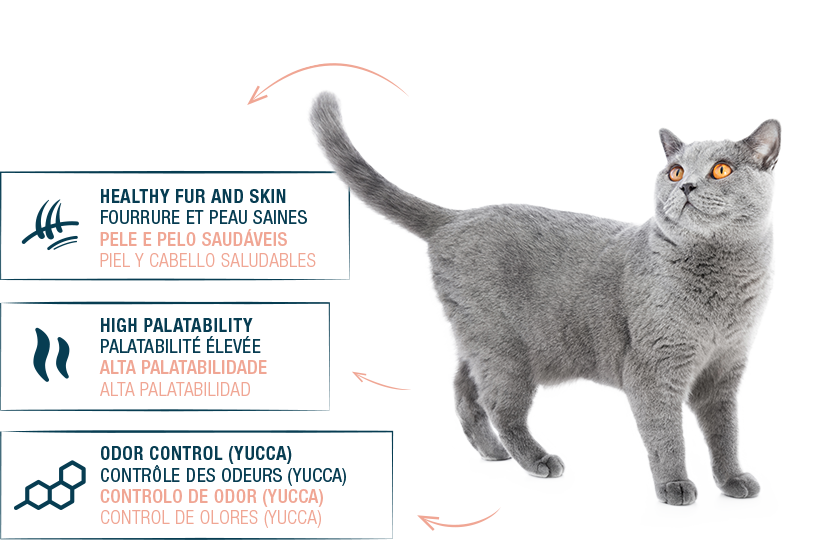 PAG-PRODUTOS_claims_Tasty-vigor