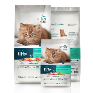 INTERNUTRI TASTY KITTEN