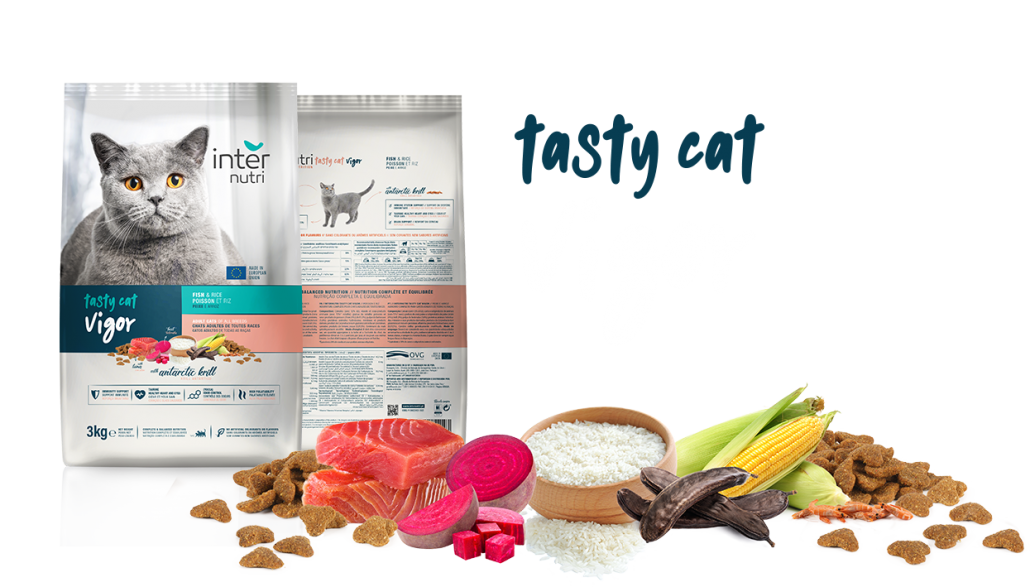 PAG-PRODUTOS_emb-e-ingr-TASTY-VIGOR-1030x587