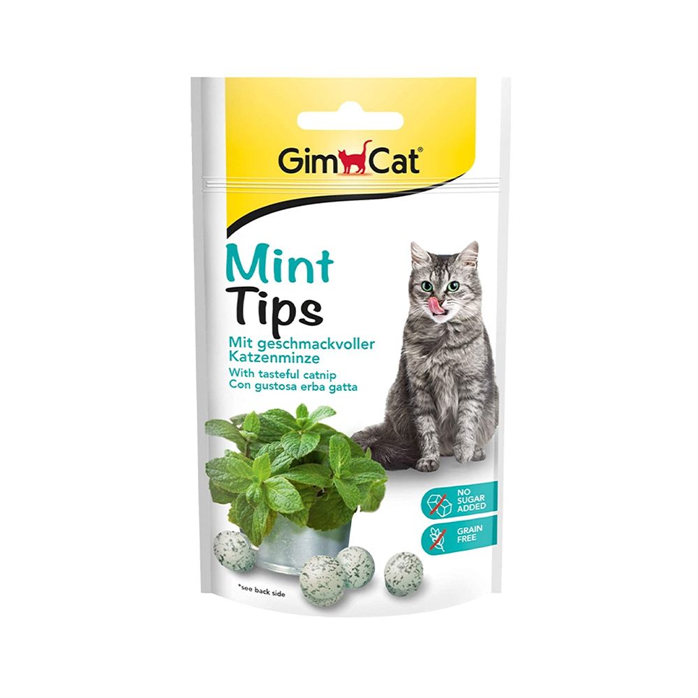 gimcatminttipsforcat40g-1
