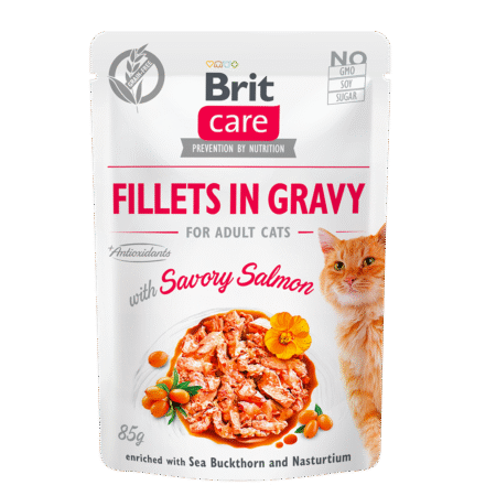 Brit Care Cat Fillets in Gravy with Savory Salmon 85 g Filets dans du jus, avec du saumon. Enrichi en argousier et en capucine. Aliment complet super-prémium pour chats adultes, sans céréales.