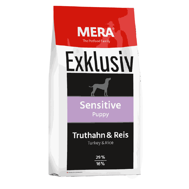 Exklusiv-Sensitive-puppy