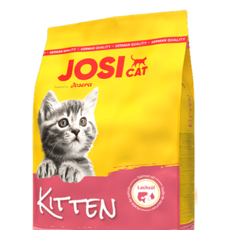 JosiCat Kitten