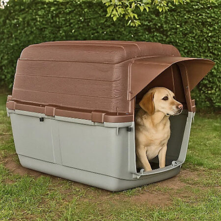 Niche géant pour chien de grande race