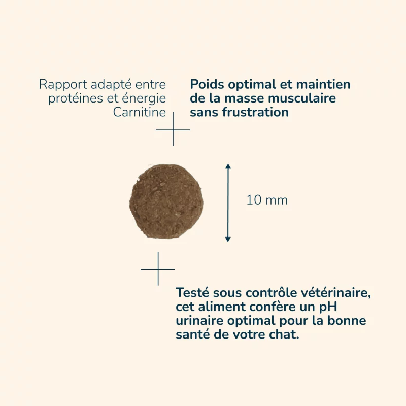 prestige-chat-sterilized-aux-poissons (3)