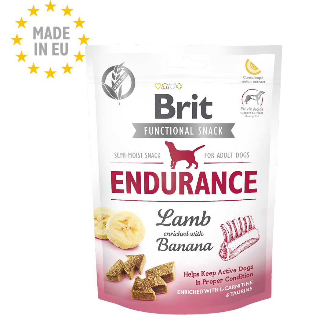 endurance-1-1-e1756480289552