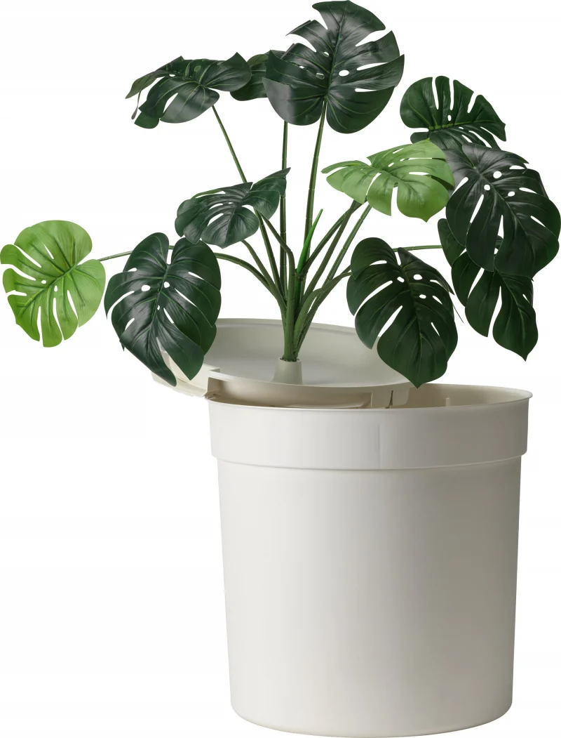 lm_3840584ce565c824b7b7f50282d9a19945b1737544598